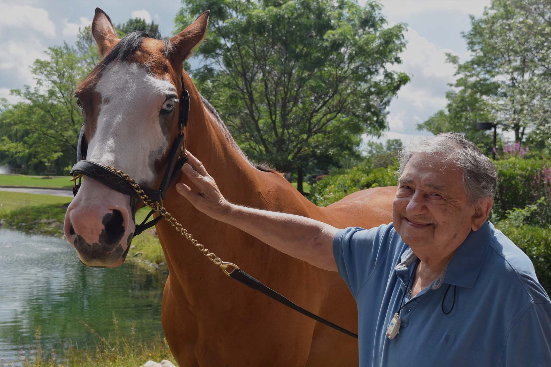 Jewish Senior Life Impact - Elderly Man with Horse